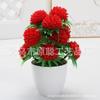 Flower, Small Tree Money TreePlastic FlowerArtificial Plant Set Floral Decoration Artificial Potted Plant Ornaments