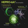 HEPROA Firming Hydrating Essence Water