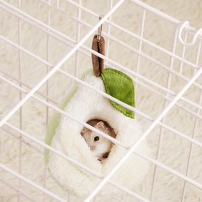 מוצרים לחיות מחמד – מכרסמים