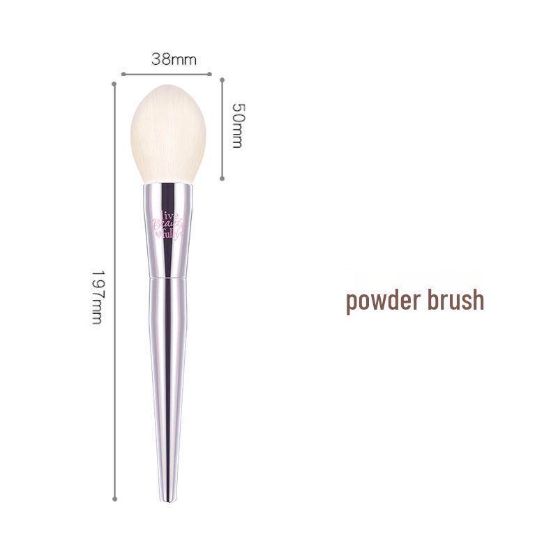 Bailan Makeup Brush Set: IT Series Blush, Blending, Eyeshadow & Foundation Brushes