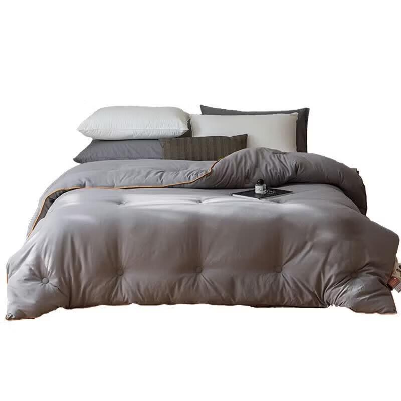 Yiyi ai Warm Core Winter Quilt
