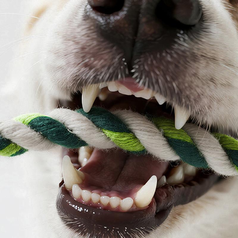 Squeaky Plush Animal Toys Dog Chew Toys Crinkle Sound Pet Toys Boredom Relief Mental Stimulation Puppy Teething Anxiety Relief Safe Pet Toys