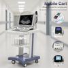 Medical Trolley Cart with Wheels Beauty Storage Utility Cart Rolling Cart for Dental Clinics Hospitals & Beauty Salons