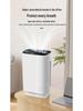 Medical Grade Air Purifier for Formaldehyde and Smoke Removal with Negative Ions for Home Use