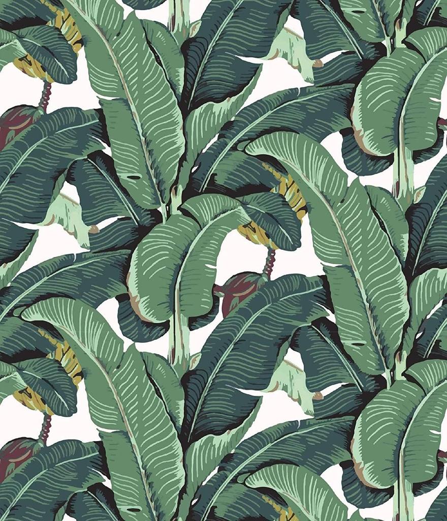 Tropical Palm Leaf Peel and Stick Wallpaper Green Banana Leaves Self Adhesive Wall Paper Removable Contact Paper for Living Room
