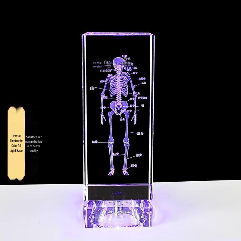 3D Carved Skeleton Brain Model Ornament - White Crystal Souvenir for Medical Students and Doctors