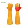 Heavy-Duty Animal Handling and Training Gloves