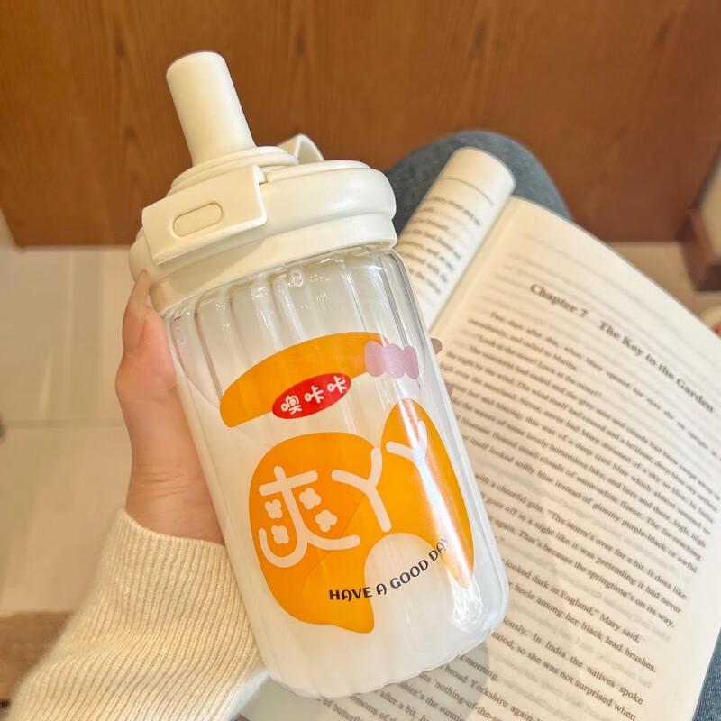 

High Borosilicate Glass Portable Straw Cup