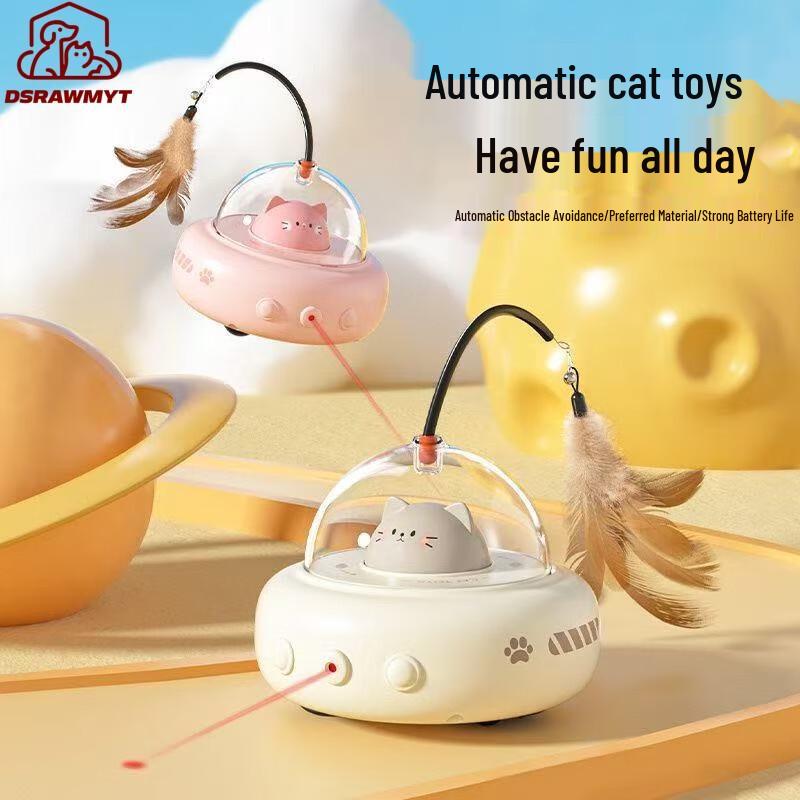 DSRAWMYT Interactive Cat Toy Collection