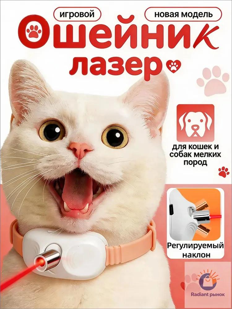 Interactive Collar Toy for Indoor Play and Exercise - Hands-Free Pet