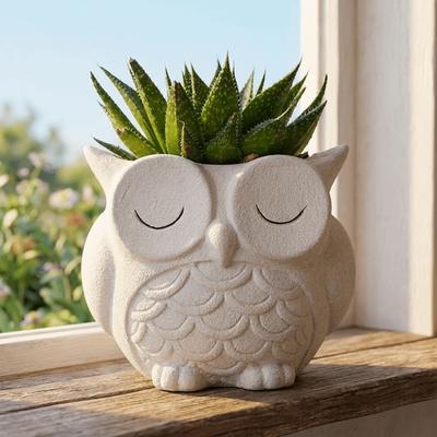 Ceramics Succulent Pot Cute Cactus Pot Unique Owl Planter  Balcony