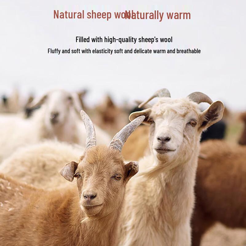 LANGSHA Leggings termici groși cu talie înaltă pentru femei, cu căptușeală 100% lână