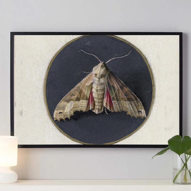 Vintage Spider Antique Bat Raven Moth Butterfly Gothic Art Poster Canvas Painting Wall Prints Picture Dark Academia Decoration