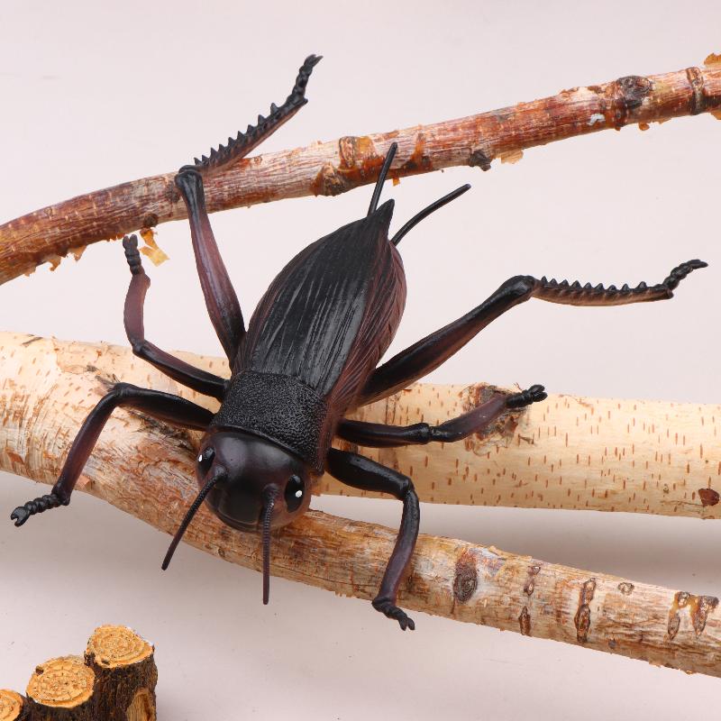 17Cm Realistic Insect Animal Model Toys Ant Spider Scorpion Beetle Dragonfly Simulation Figures For Kid Educational Learning Toy