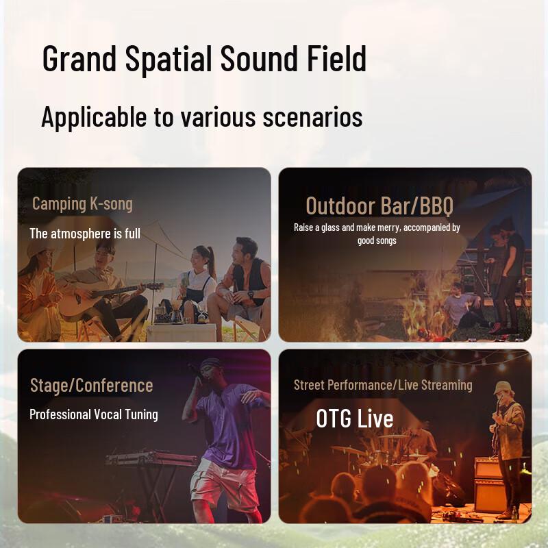 Sansui PE122 Smart Outdoor KTV Speaker System