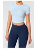 Women's Seamless Sports Top: Breathable, Short Sleeve Yoga and Running T-Shirt for Summer Fitness