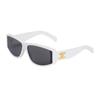 Celine Óculos de Sol Irregulares Personalizados da Moda Óculos de Sol Femininos 4S227CPLB01BC