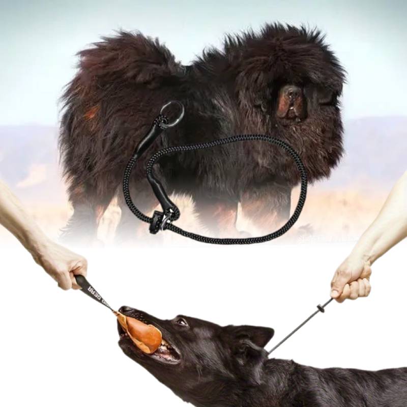 Dingo Gear Choke Collar Dog Training Handmade Cord Limiter Waterproof Dogs Large