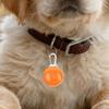 Waterproof Pet Nighttime Accessories Dog Night Walking Collars Pendant LED Lights For Small Medium Large Camping Hiking Running