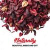 NeutraVed Hibiscus Tea 30g | Sun-Dried Sabdariffa Flower | Natural Red Color for Syrups, Cocktails & Mocktails| Reusable Pet Jar Pack of 1-30g