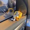 Accessori per abitacolo auto – Giocattoli per auto e decorazioni