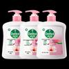 Moisturizing Antibacterial Hand Wash (500g X 3)