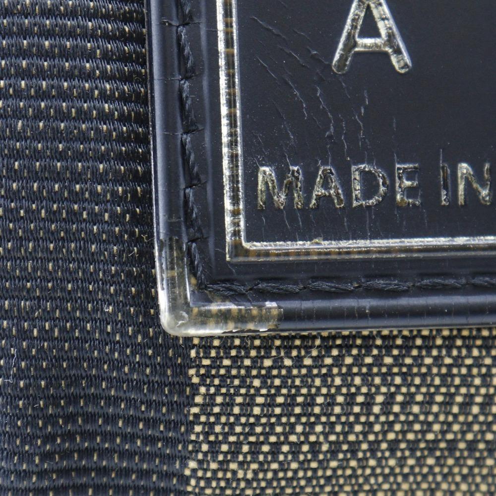 FENDI Pecan Stripe Waist bag 7VA446 body bag Brown Nylon canvas unisex Used