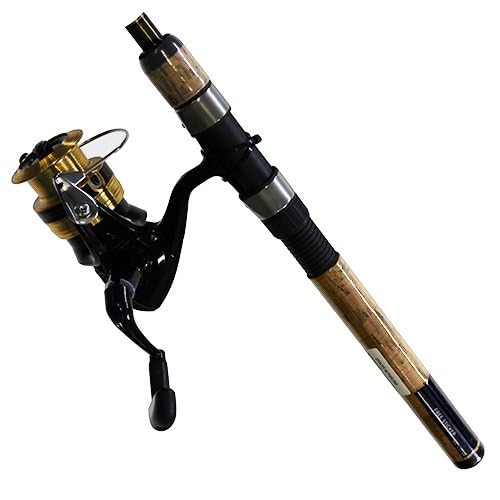 Daiwa D-Shock DSK FW Spin Rolle PMC