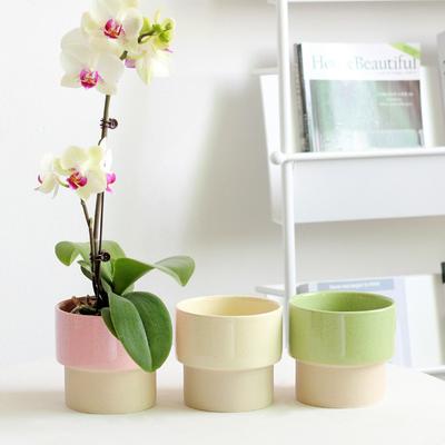 Simple Colorful Flower Pot Succulent Pot Ceramic Planter Home Decor Desktop Ornaments Bonsai Plant Pot Garden Decoration