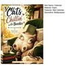 Desk Calendar Cats Chillin' with Book 2027 Calendar, 12 Month Monthly Planner, Thick Appointment Paper Daily Planning Wall for Home Office And School