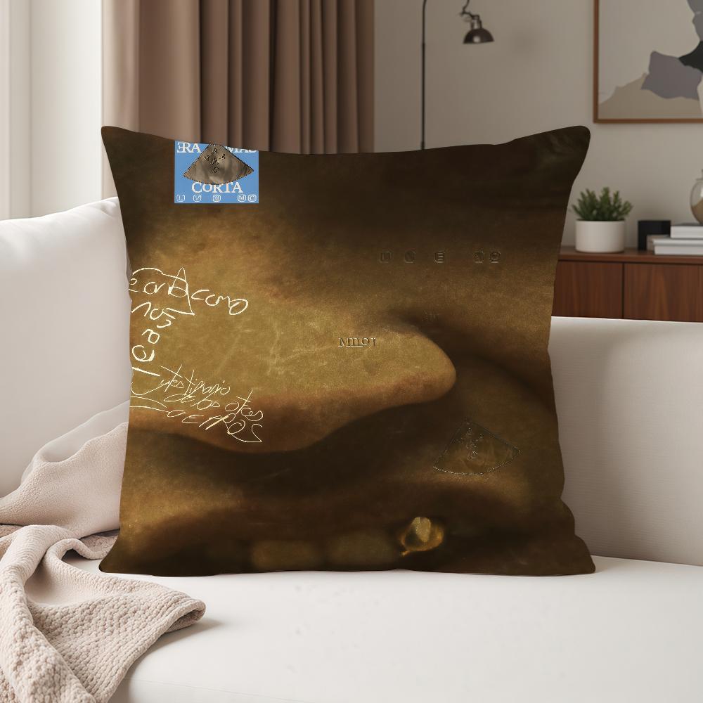 Singer MMilo J La Vida Era Mas Corta Pillow Case Suitable For Bedrooms Living Rooms Cars Home Decoration