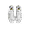 Nike Air Max Plus SE Weiß Chrom Silber Damen Sneaker Metallic-Silber HJ9743-100