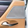 Stainless Steel Mesh Door Kick Guard & Speaker Cover for Lexus ES 2018-2025 ES200 ES260 ES300h Silver, Self-Adhesive Protective