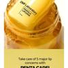 CNP Laboratory - Propolis Lipcerin Bundle Set
