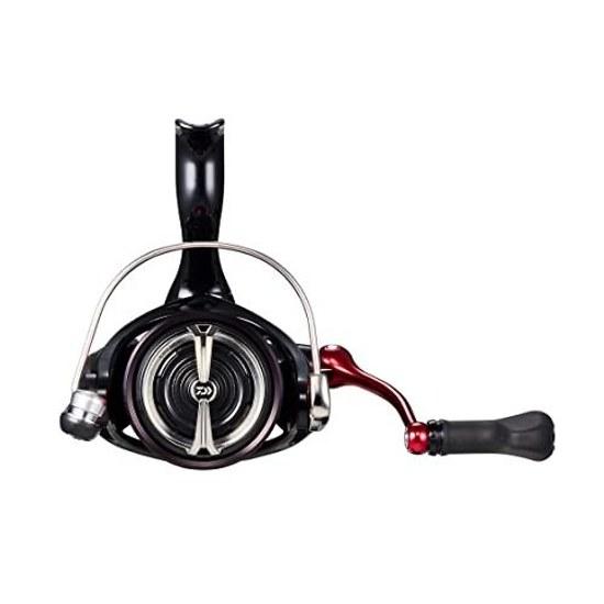 Daiwa Yaen Spinning Reel 23 Aori Trial BR LT3000