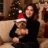 Weihnachtsumhang und Hut für Haustiere Festival-Set Hund Verwandlungskostüm Weihnachtsoutfit für kleine Hunde