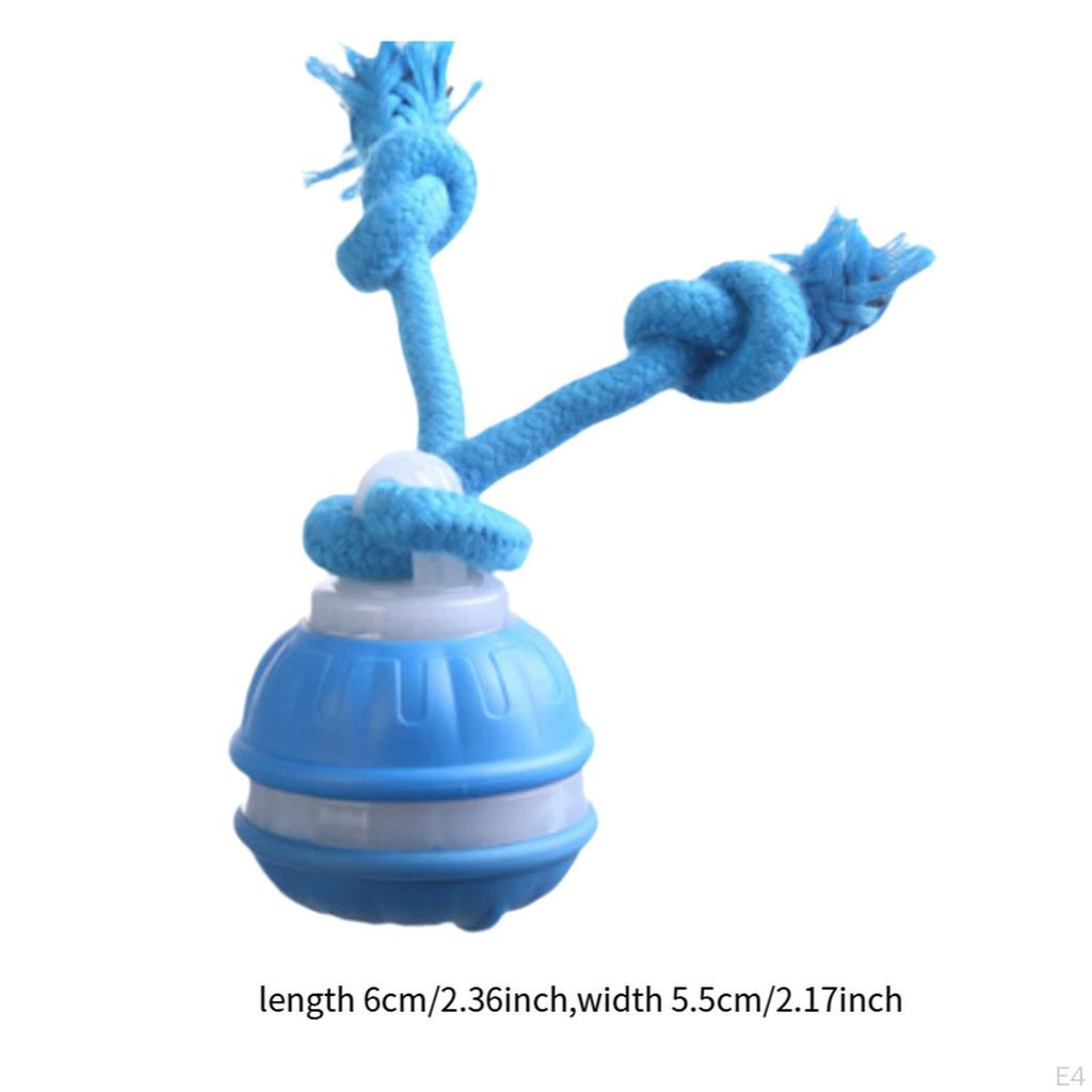 Cat Interaction Toy Ball Electric Rolling Cats Dog Toys for Kitten