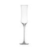 Elegant Waist Champagne & Cocktail Glasses (Set of 2)