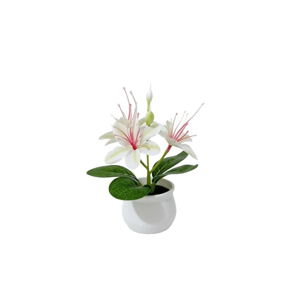 Mini Jasmine Faux Plant With Plastic And Soft Gel For Home Decor And Photography Props