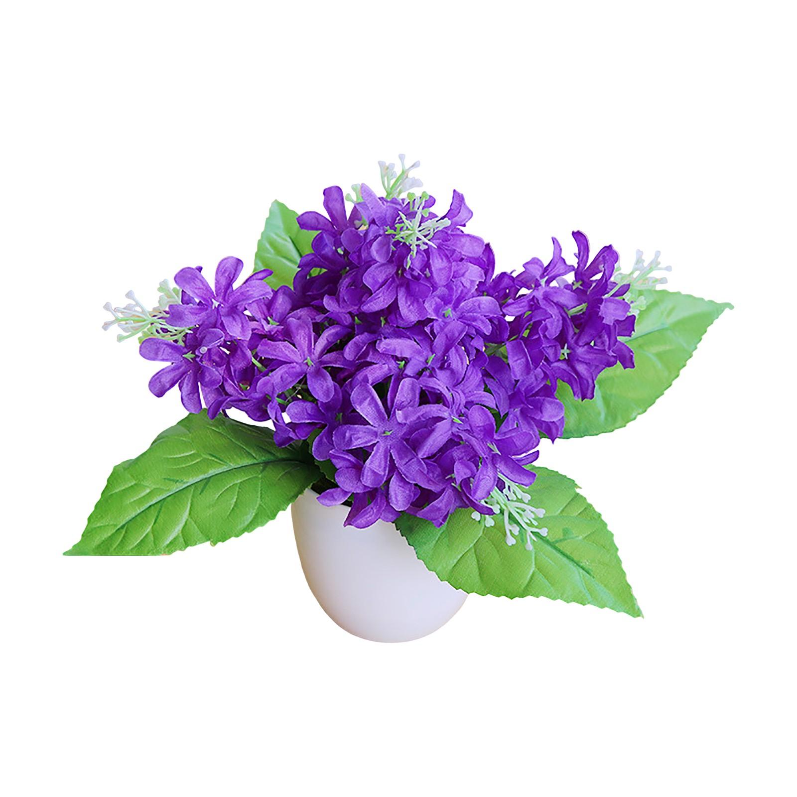 

Гиацинт Имитация Зеленого Растения Горшечные Украшения Растения Комбинация Комнатные Украшения Настольные Имитация Искусственного Цветка Растение Бонсай One Size