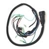 Marine Engine Harness Assembly For Yamaha Boat Engine 2T 40HP 66T-82590-00-00 66T-82590-20-A87Q