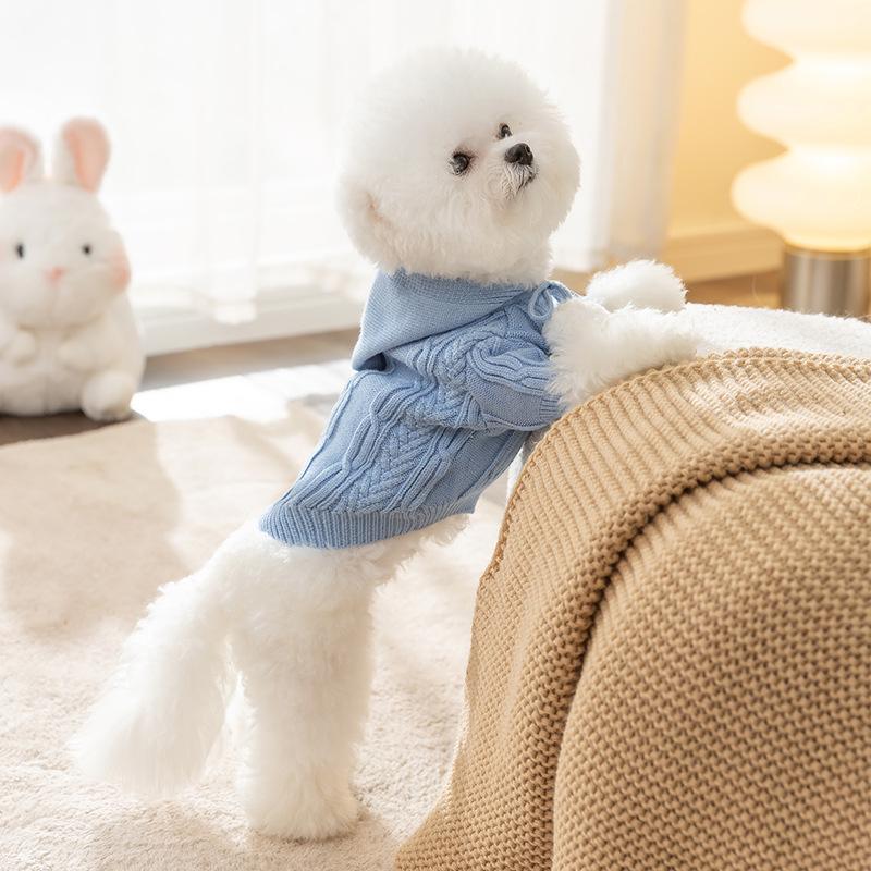 Early Autumn Dog Sweater Autumn and Winter Warm Hooded Hairball Two Feet Teddy Cat Small Dog Pet Bigbear Clothes