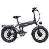 Elektrisches Fahrrad Ridstar H20 Pro 1000Wx2 Motor Faltbares Elektrofahrrad für Erwachsene 48V 23AH LCD-Display Höchstgeschwindigkeit 45 km/h 20"x4.0" Reifen