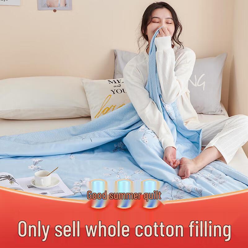 

Jieliya Lightweight Cool-Feel Summer Quilt