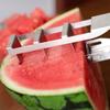 Rust-proof Watermelon Cube Cutter Anti-corrosion Fruit Splitter Watermelon Dicing Divider  Kids
