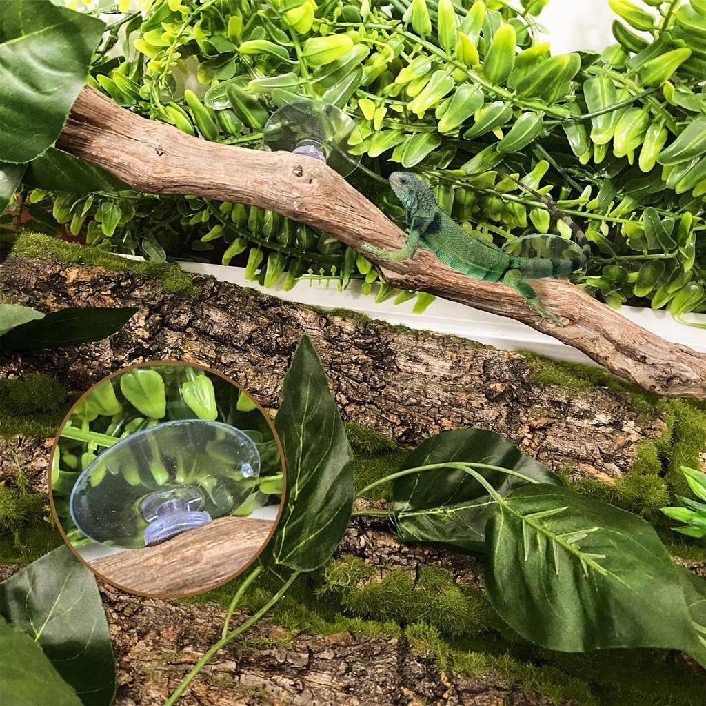 Branches for Reptiles Unique Reptile Wood Branches Climbing Accessories Natural Snake Tank Decor Reptile Climbing Corner Stick