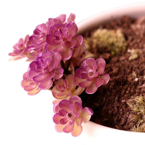 Mini Künstliche Sukkulenten Realistische Fake Kleine Kakteen Pflanzen Bunte Kunststoffe Beflockte Topflose Pflanzen für Garten Blumentopf Küche Heimdeko
