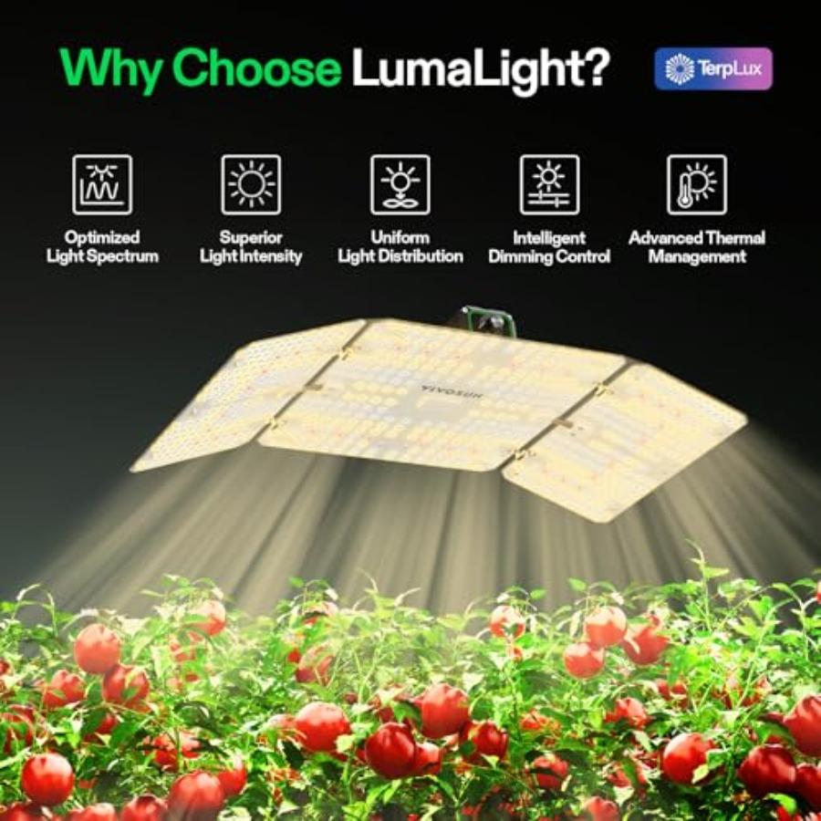 200W LED Grow Light Full Spectrum Smart Dimmable High PPFD Indoor Plant Light for Seedling Vegetables Bloom Fits 2×4 3×3 Grow T