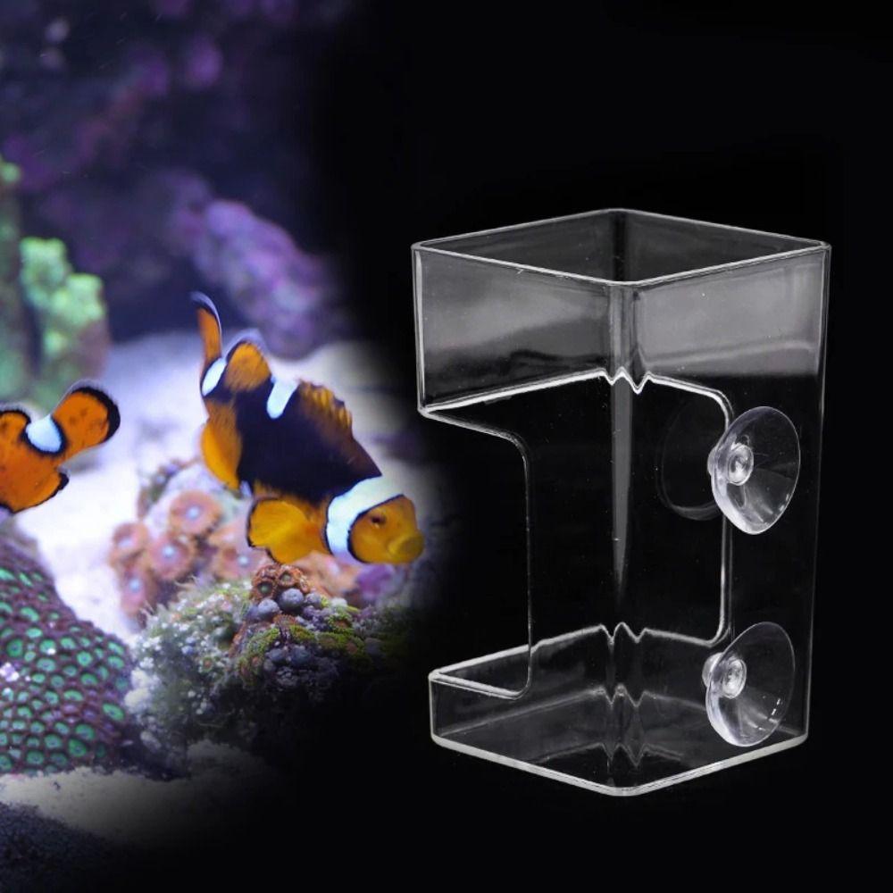 Transparent Aquarium Feeders Ring Suction Cup Floating Food Tray Feeder  for Baby Fish Shrimp