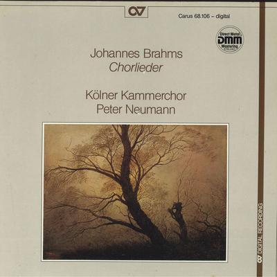 Hobi & Yaratıcılık – Müzik